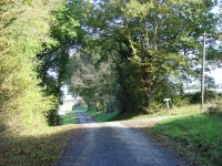 DSC00842-1