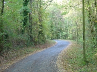DSC00843-1